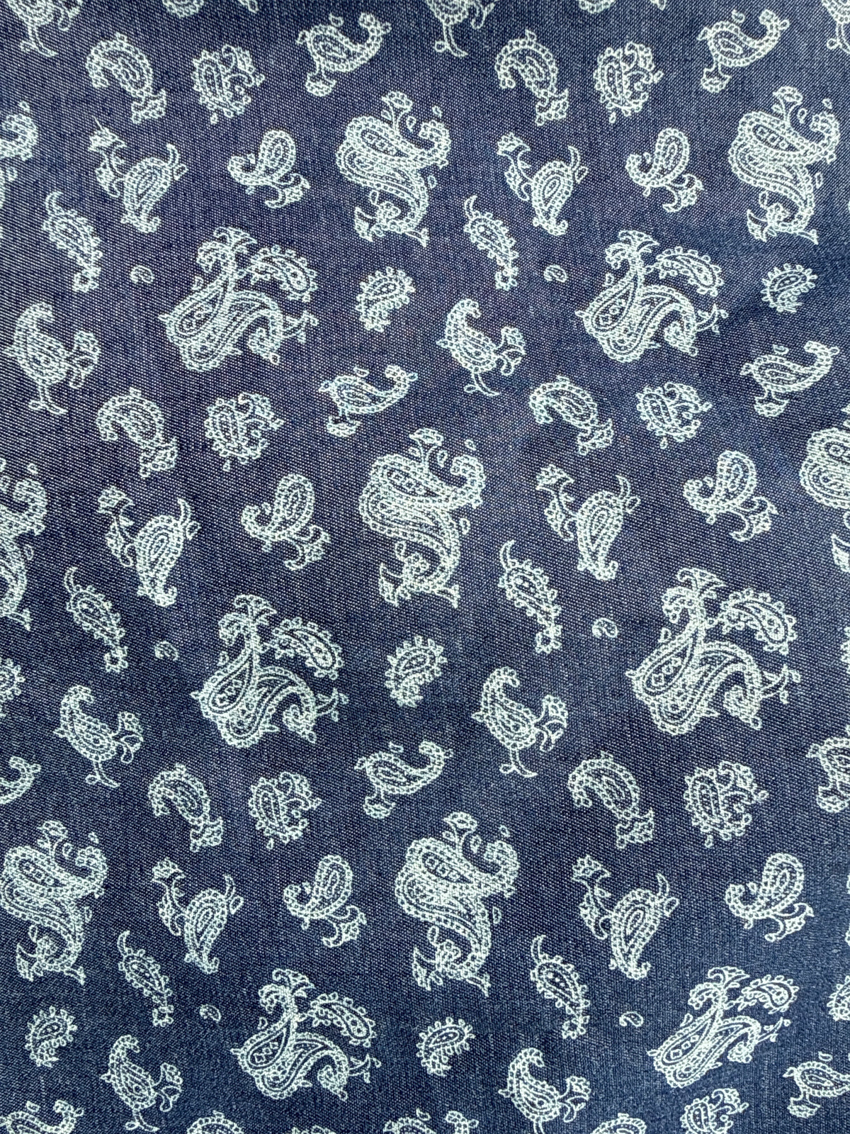 Blue Chambray Paisley Cotton Woven "Lucia"