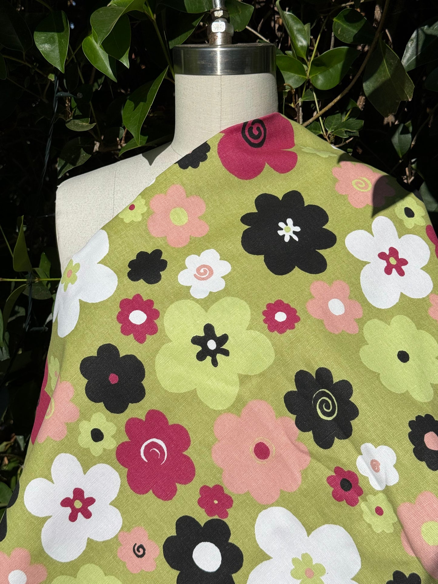 Olive Green Pink White Black Daisy Floral Print Cotton Canvas Woven "Doodle Daisy"