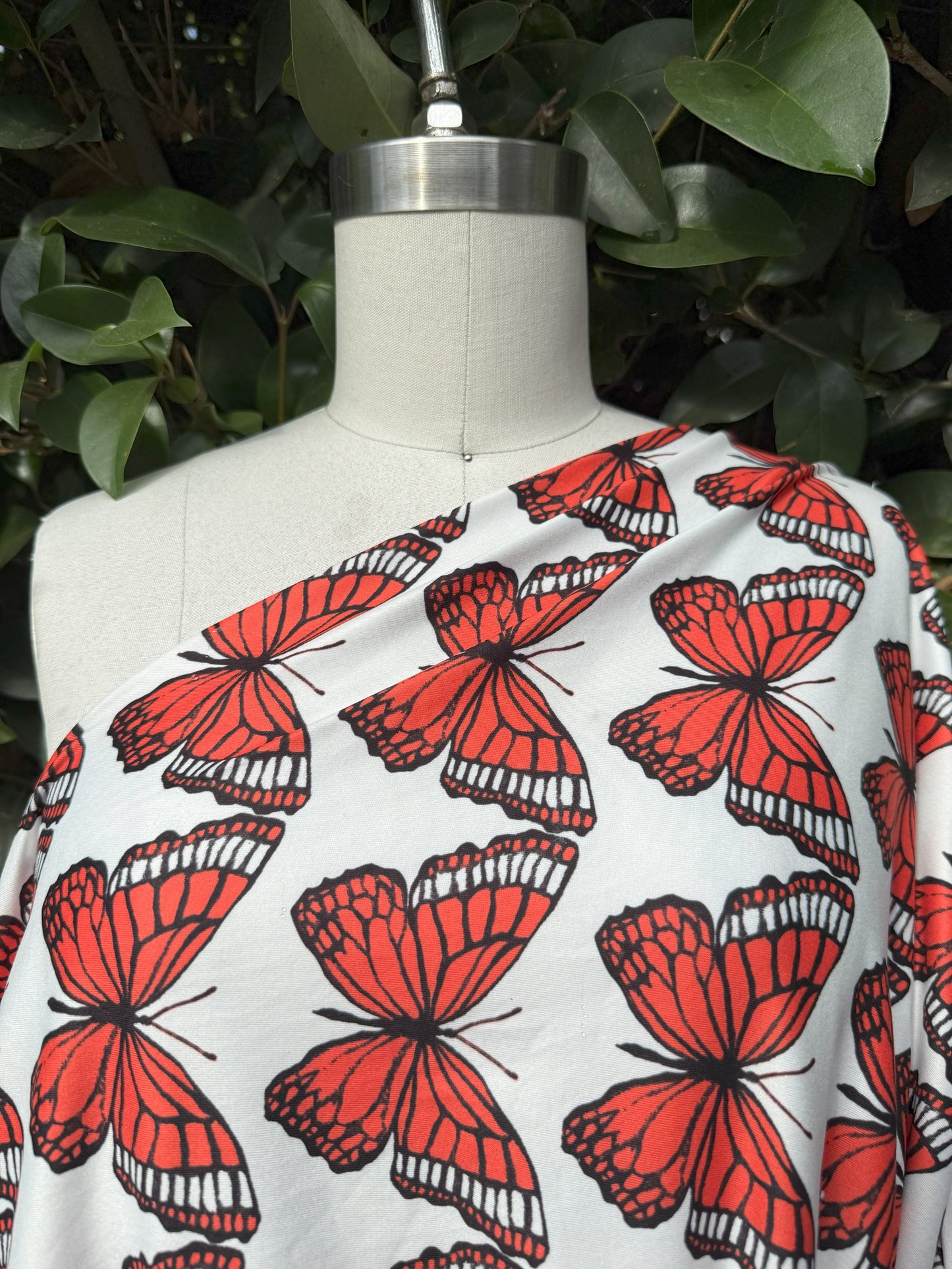 White Black Orange Butterfly Insect Stretch Polyester Spandex Jersey Knit "Flight of the Monarchs"