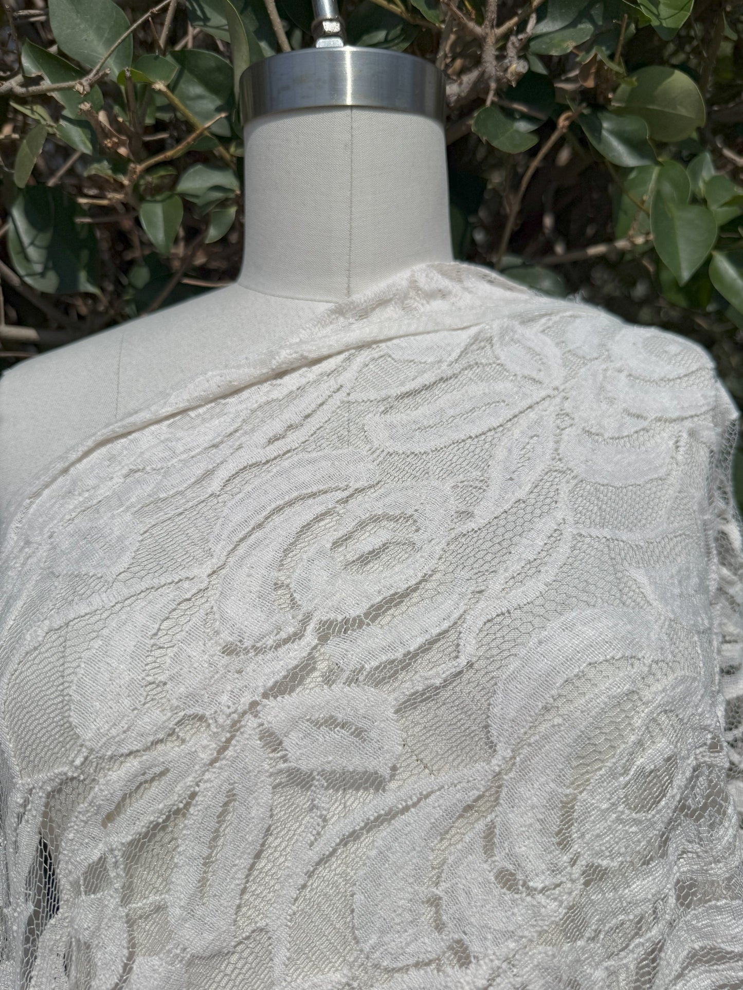 Ivory Embroidered Micro Mesh Lace Cotton Nylon Spandex Knit "Chapel Filigree"