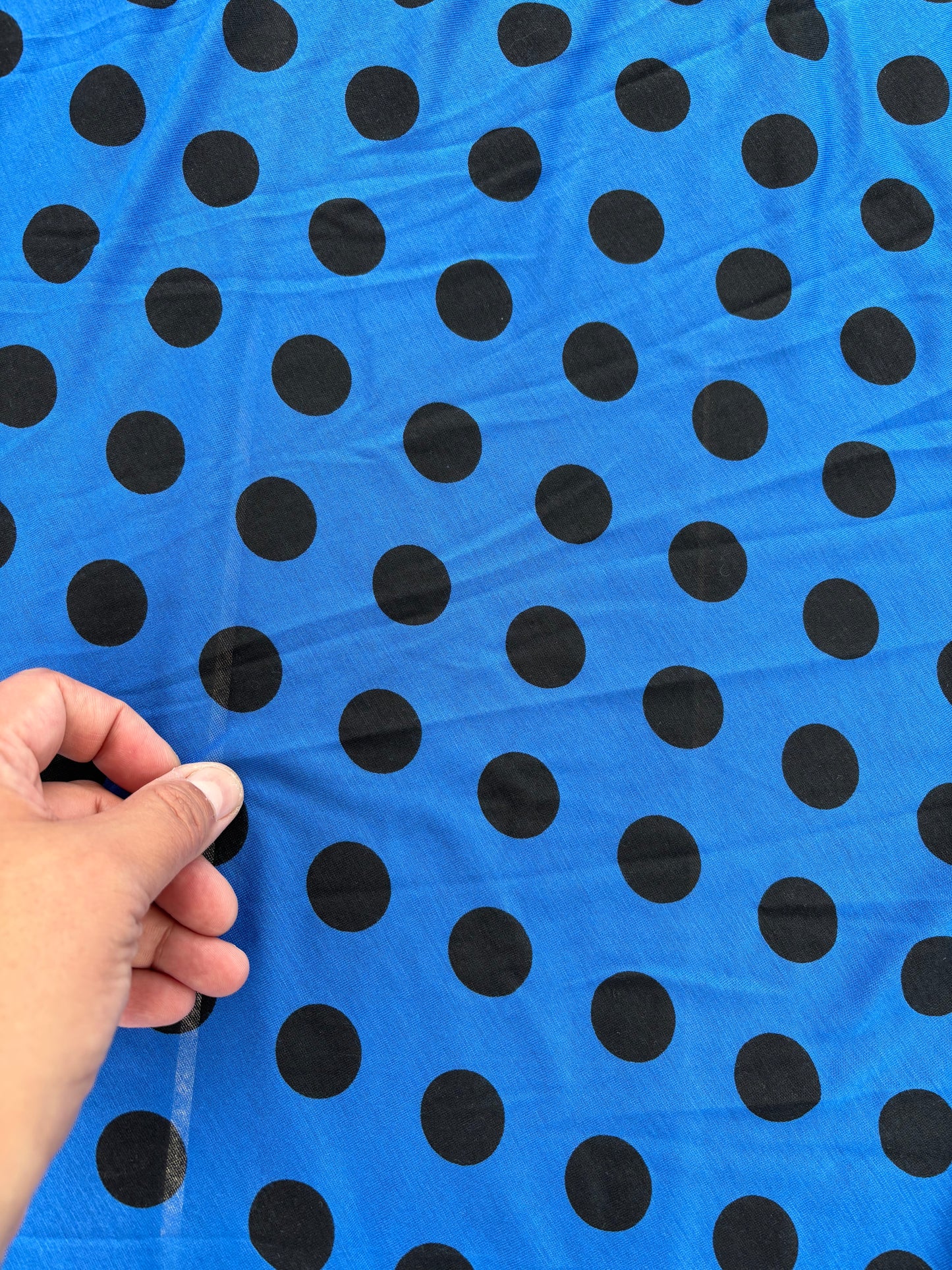 Blue Black Polka Dot Cotton Jersey Knit "Larry"