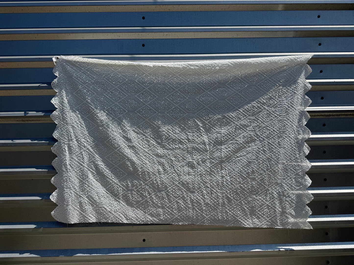 White Scalloped Edge Eyelet Cotton Woven “Dollie”