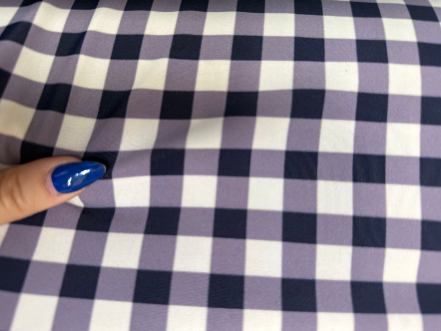 Blue White Gingham Nylon Spandex Swim Knit "Pond Swimmer”