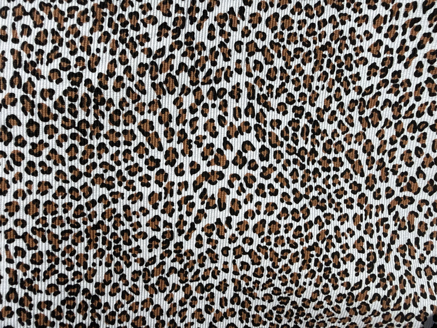 White Orange Black Mini Leopard Print Cotton Rib Knit "Leo Habits"