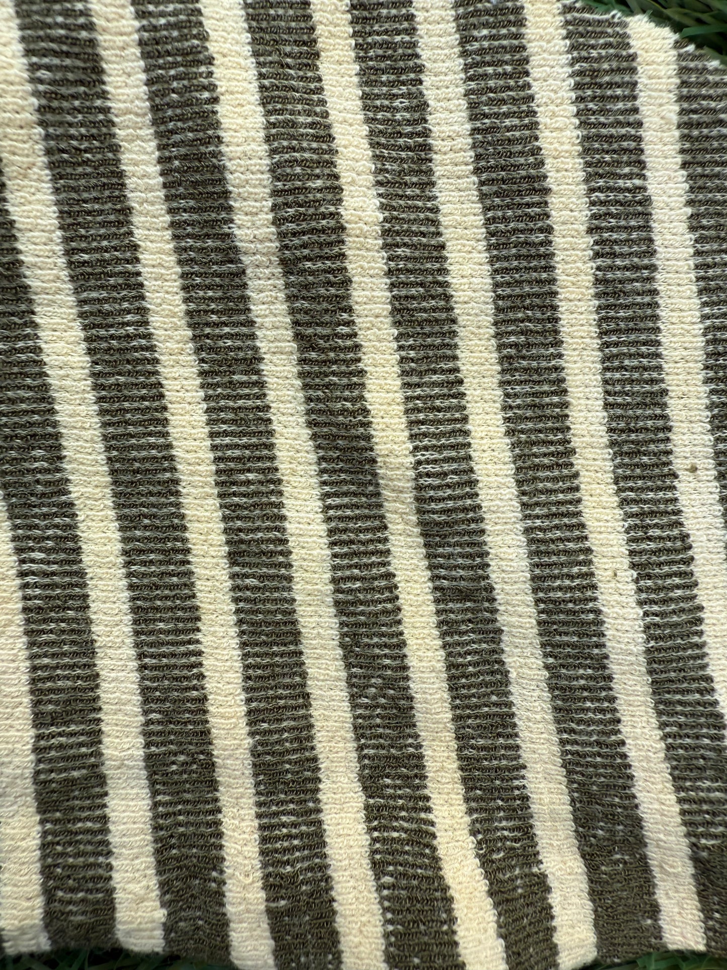 Olive Green Cream Stripe Two Tone Stripe Cottton Spandex Knit "Ripe Olive"