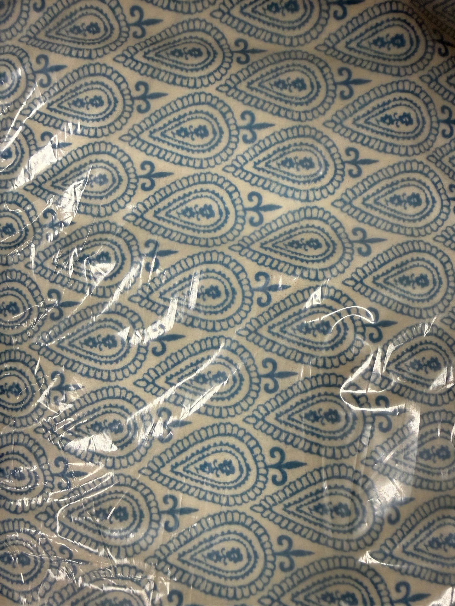 White Blue Paisley Print Minky Polyester "Wander Paisley”