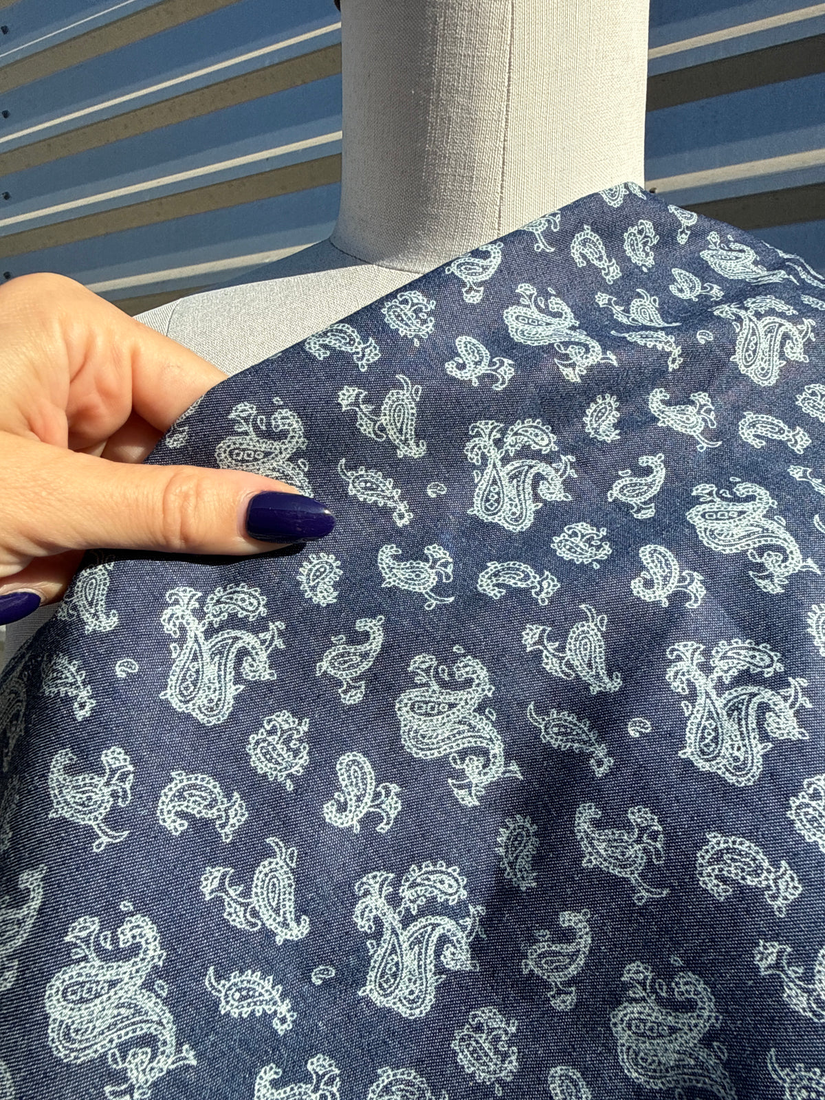 Blue Chambray Paisley Cotton Woven "Lucia"