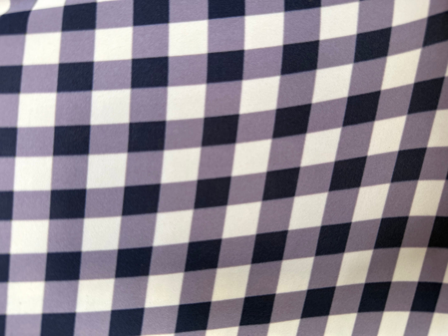 Blue White Gingham Nylon Spandex Swim Knit "Pond Swimmer”