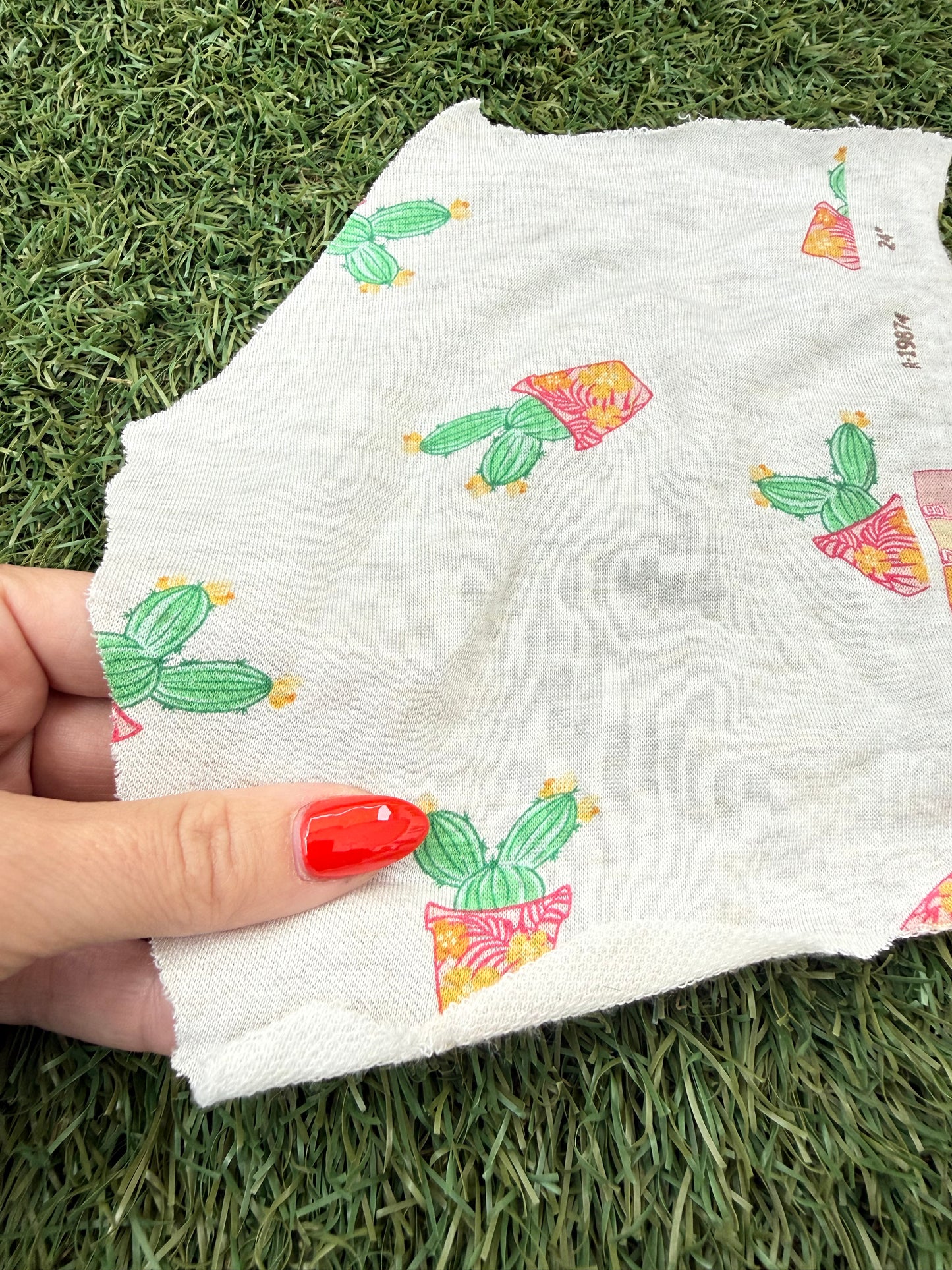 Green Beige Cactus Plant Print Rayon Spandex French Terry Yoga Jersey Fabric "Prickly But Pretty"