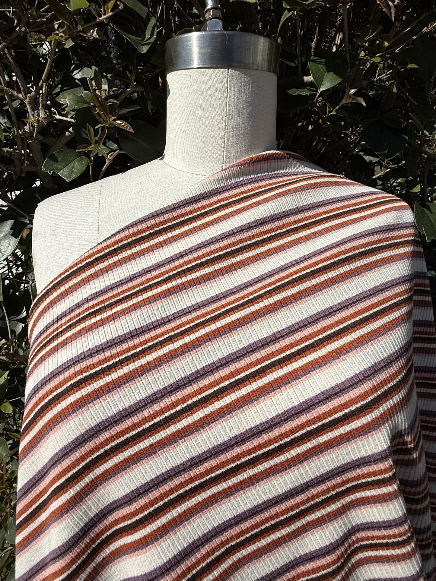 Purple Pink Red Black Cream Striped Cotton Spandex Rib Knit "Sunset Skate"