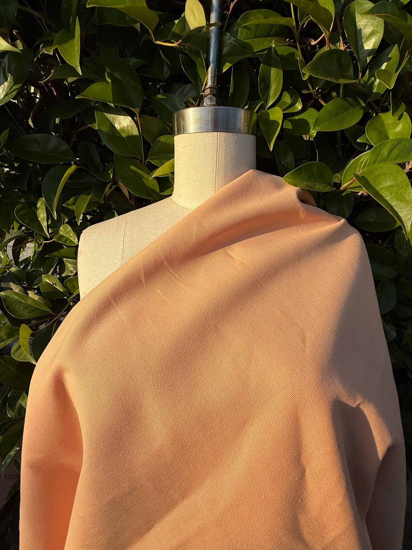 Orange Peach Apricot Cotton Duck Canvas "Summer Apricot”