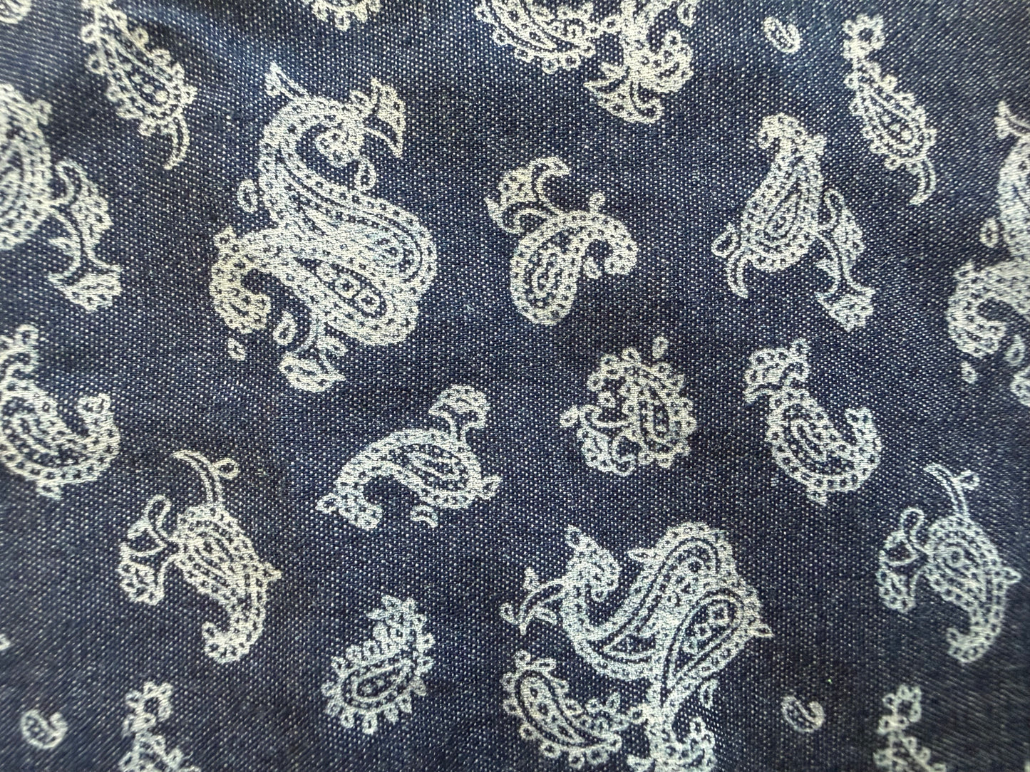 Blue Chambray Paisley Cotton Woven "Lucia"