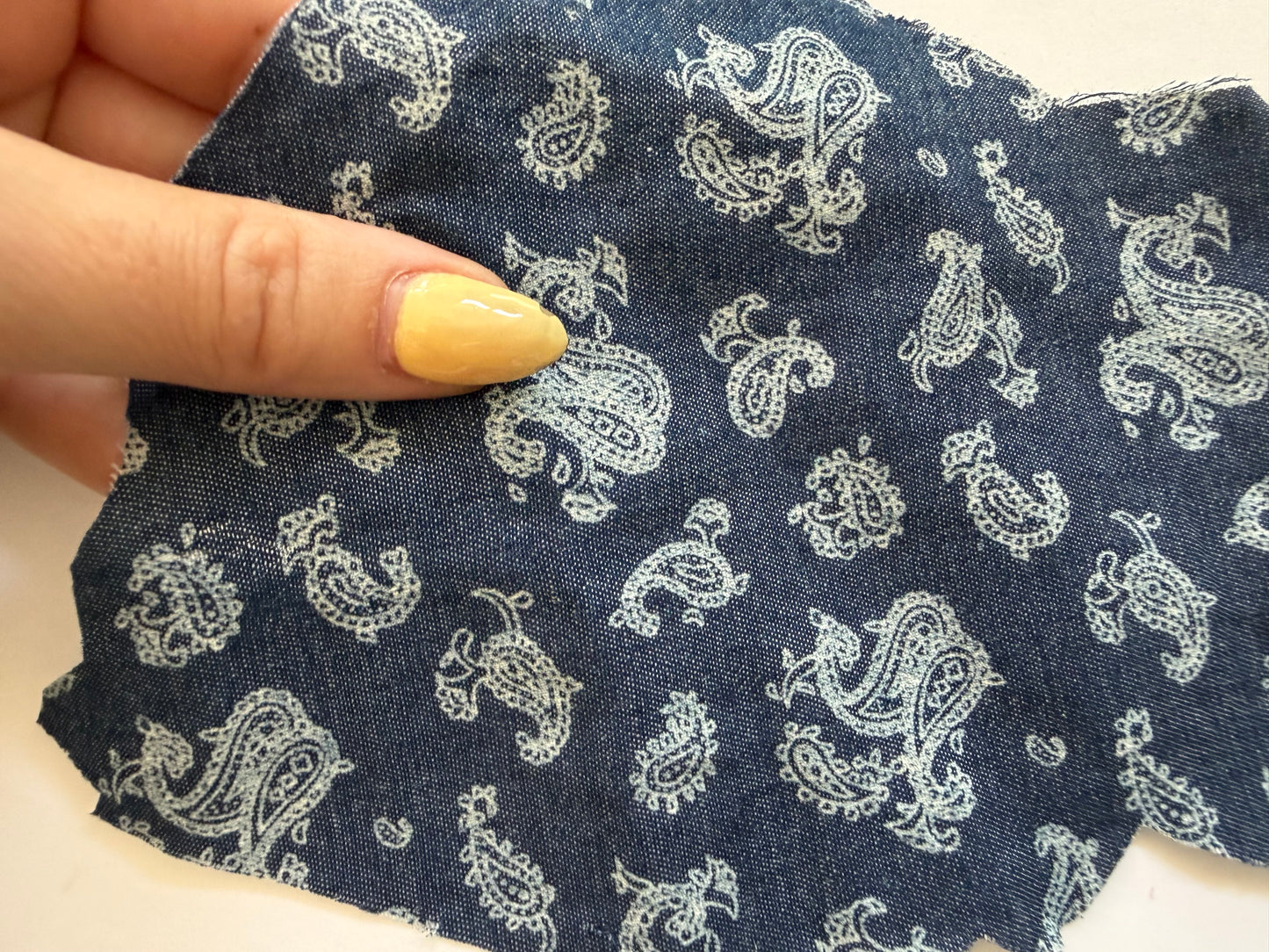 Blue Chambray Paisley Cotton Woven "Lucia"